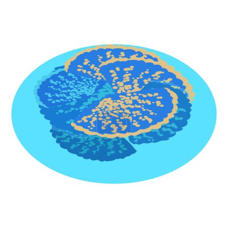 Téléchargez les illustrations : Icône corail bleu vecteur isométrique. Corail exotique bleu vif dans l'icône de l'eau de mer. Monde sous-marin, invertébrés - en licence libre de droit