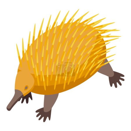 Illustration for Nature echidna icon isometric vector. Cute animal. Wild mammal - Royalty Free Image