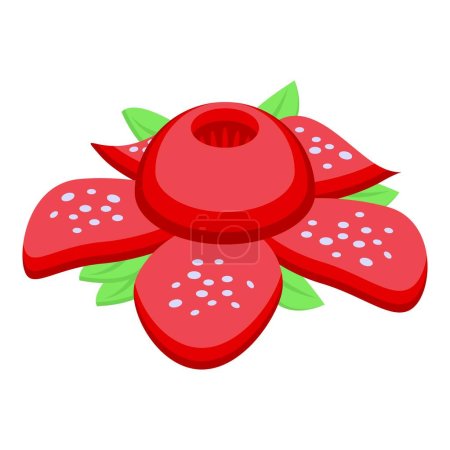 Téléchargez les illustrations : Philippines icône fleur rouge vecteur isométrique. La culture estivale. Produits alimentaires de terrain - en licence libre de droit