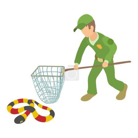 Illustration for Coral snake icon isometric vector. Young man with landing net near milk snake. Reptile capture, herpetology - Royalty Free Image