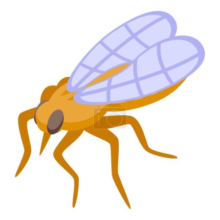 Ilustración de House tsetse icon isometric vector. Fly insect. Pest biology - Imagen libre de derechos