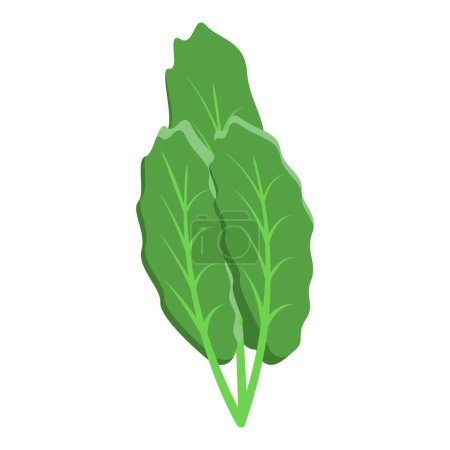 Téléchargez les illustrations : Icône de régime de feuilles de salade vecteur isométrique. De la nourriture pour racines. Manger cuisiner - en licence libre de droit