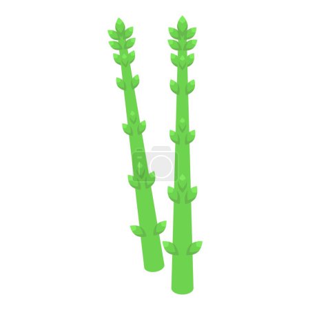 Téléchargez les illustrations : Vecteur isométrique d'icône de plante de salade verte. Régime alimentaire. Cuisine nutritionnelle - en licence libre de droit