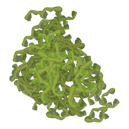 Ilustración de Laminaria secado vector isométrico icono. Género de algas marinas de clase algas pardas. Medio ambiente, mundo submarino, algología - Imagen libre de derechos