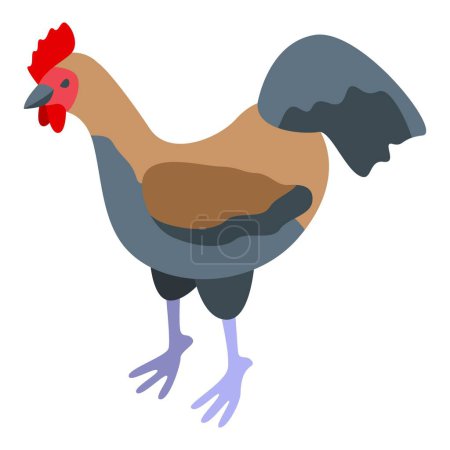 Ilustración de Icono de gallo vector isométrico. Pájaro de pollo. Granja recién nacida - Imagen libre de derechos
