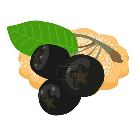 Ilustración de Chokeberry postre icono vector isométrico. Galleta fresca de chokeberry maduro y fruta. Postre, desayuno, concepto de comida - Imagen libre de derechos