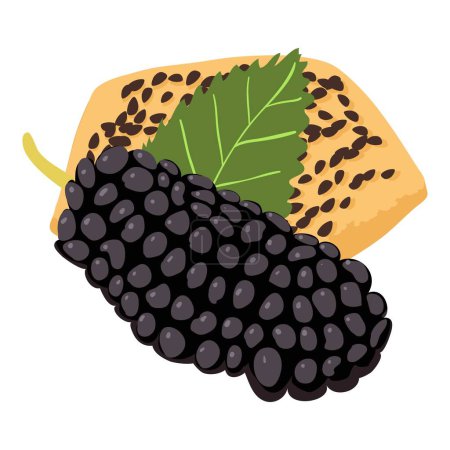 Mulberry dessert icon isometric vector. Black mulberry and cookie with seed icon. Dessert, breakfast, food concept