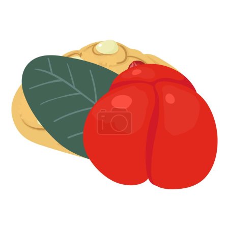 Illustration for Barbados dessert icon isometric vector. Fresh barbados cherry and fruit cookie. Dessert, breakfast, food concept - Royalty Free Image