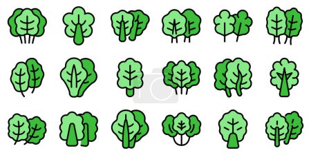 Chard icons set outline vector. Mangold agriculture. Cabbage diet thin line color flat on white