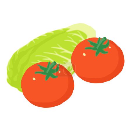 Illustration for Salad product icon isometric vector. Fresh chinese cabbage near two red tomato. Raw food, healthy nutrition - Royalty Free Image