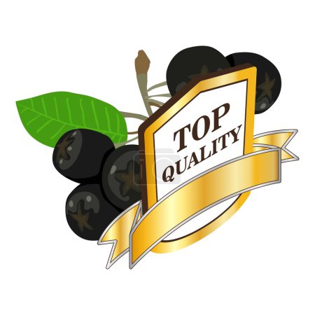 Ilustración de Vector isométrico icono de la guanábana orgánica. Chokeberry negro y signo de calidad superior. Concepto de calidad, comida, baya orgánica - Imagen libre de derechos