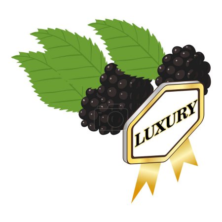 Illustration for Organic blackberry icon isometric vector. Ripe fresh blackberry and luxury sign. Quality concept, food, organic berry - Royalty Free Image