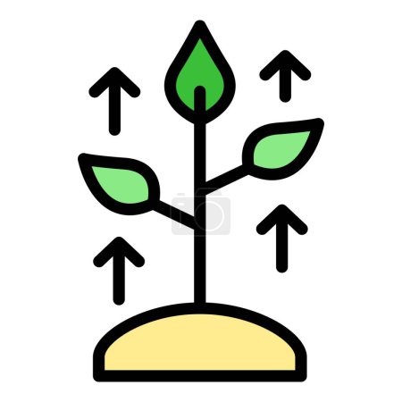 Illustration for Skill level plant icon outline vector. Goal career. Personal capacity color flat - Royalty Free Image