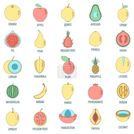 Fruits icônes ensemble. Illustration schématique de 25 icônes vectorielles de fruits couleur de ligne mince à plat sur blanc