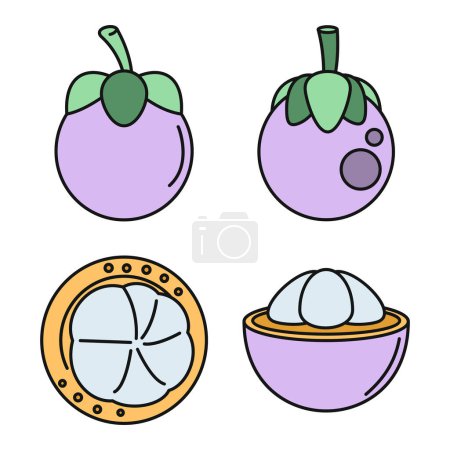 Tropical mangosteen icons set. Outline set of tropical mangosteen vector icons thin line color flat on white