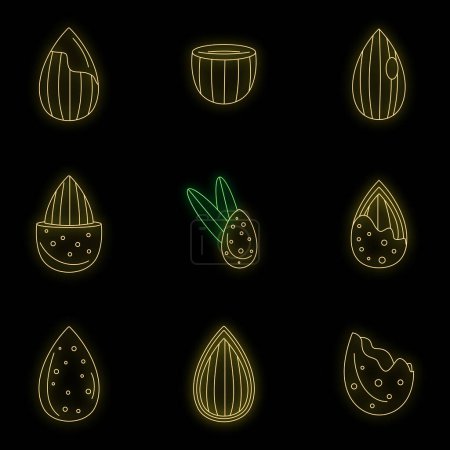 Illustration for Almond walnut oil seed icons set. Outline illustration of 9 almond walnut oil seed vector icons neon color on black - Royalty Free Image