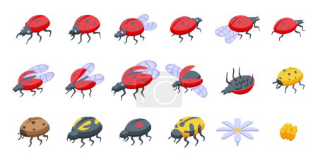 Téléchargez les illustrations : Icônes Ladybug définir vecteur isométrique. Un insecte printanier. Nature animale - en licence libre de droit