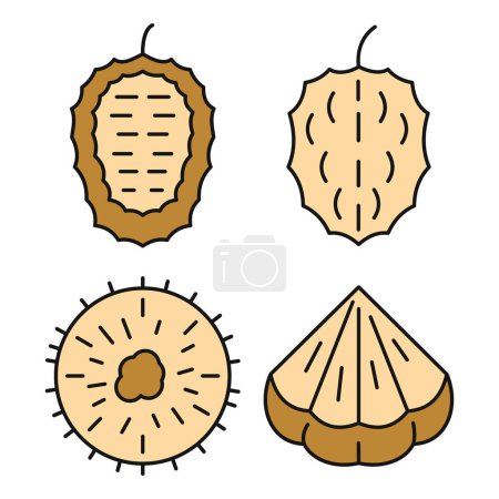 Soursop icons set. Outline set of soursop vector icons thin line color flat on white