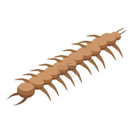 Illustration for Worm natural insect icon isometric vector. Pupa life change. Life larva - Royalty Free Image
