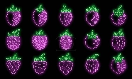 Illustration for Raw blackberry icons set. Outline set of raw blackberry vector icons neon color on black - Royalty Free Image