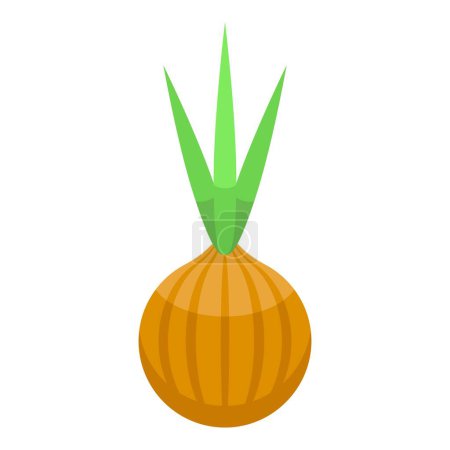Illustration for Fresh onion for borsch icon isometric vector. Vegetable dish. Culinary food - Royalty Free Image