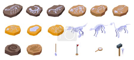 Illustration for Dinosaur skeleton icons set isometric vector. Fossil museum ancient. Pedestal flying - Royalty Free Image