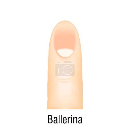 Téléchargez les illustrations : Ballerine nail art icône dessin animé vecteur. Studio de coupe. Faux ovale - en licence libre de droit