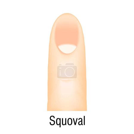 Téléchargez les illustrations : Squoval ongle manucure icône dessin animé vecteur. La mode polonaise. Faux studio de forme - en licence libre de droit