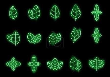 Agriculture basil icons set outline vector. Aroma leaf. Aromatic healthcare