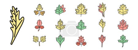 Illustration for Parsley icons set outline vector. Bunch leaf. Botany herb - Royalty Free Image