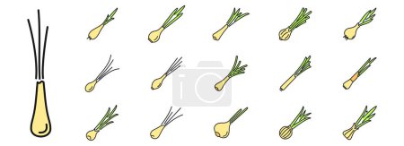 Iconos de cebollino de la agricultura establecen el vector de contorno. Planta de cocina. Hortalizas frescas