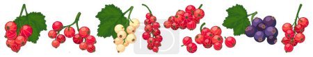 Currant icons set cartoon vector. Red berry. Agriculture botanical harvest