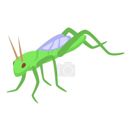 Téléchargez les illustrations : Icône de sauterelle de mouche vecteur isométrique. Des criquets nuisibles. Adorable insecte amusant - en licence libre de droit