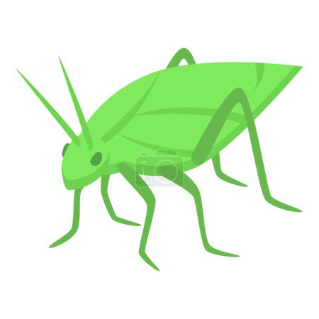 Téléchargez les illustrations : Icône femelle de sauterelle verte vecteur isométrique. Un insecte. Faune des créatures - en licence libre de droit