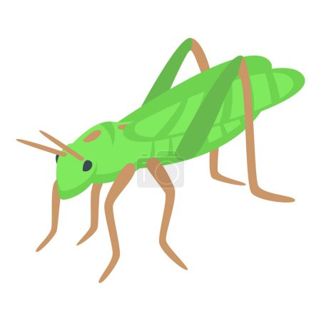 Téléchargez les illustrations : Petite icône de sauterelle vecteur isométrique. Créature verdoyante. Couleur fourmi mouche - en licence libre de droit