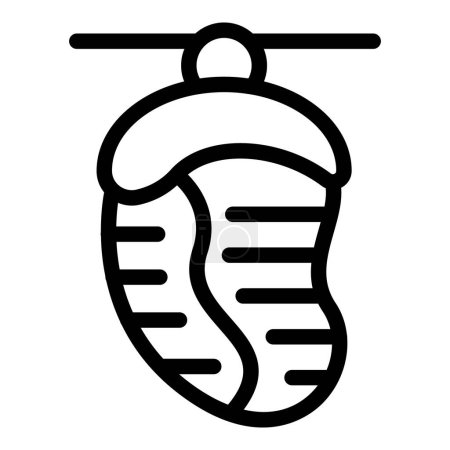Cocoon maturation icon outline vector. Biology cocooning stage. Butterfly insect transformation