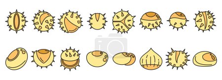 Chestnut icons set outline vector. Horse food. Autumn tree thin line color flat isolated