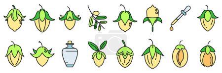 Jojoba icon outline vector. Beauty blossom. Botanical cosmetics thin line color flat isolated