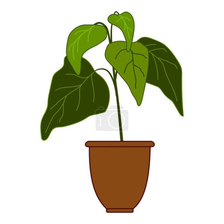 Tree flower pot icon cartoon vector. Garden botanical window. Exotic container