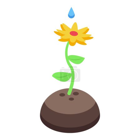 New water drop on plant icon isometric vector. Flower in ground. Garden home farming