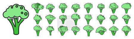 Les icônes brocoli définissent le vecteur de contour. Nourriture végétalienne. Salade santé ligne mince couleur plat sur blanc