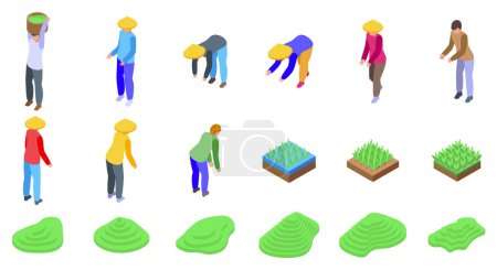 Illustration for Green paddy terraces icons set isometric vector. Farm field. Cascade mount - Royalty Free Image