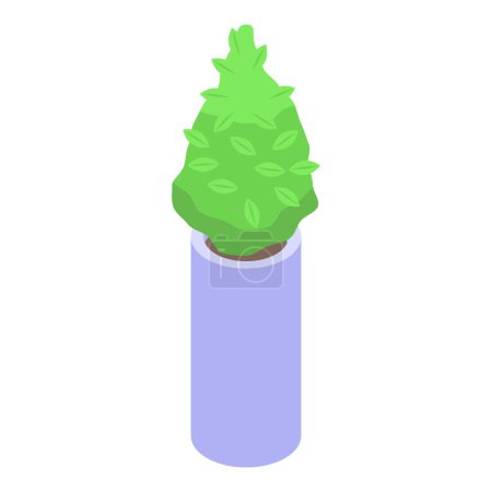 Illustration for Bush plant pot icon isometric vector. Garden foliage. Green indoor - Royalty Free Image