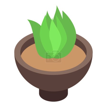 Illustration for Succulent plant pot icon isometric vector. Home decoration. Green potted - Royalty Free Image