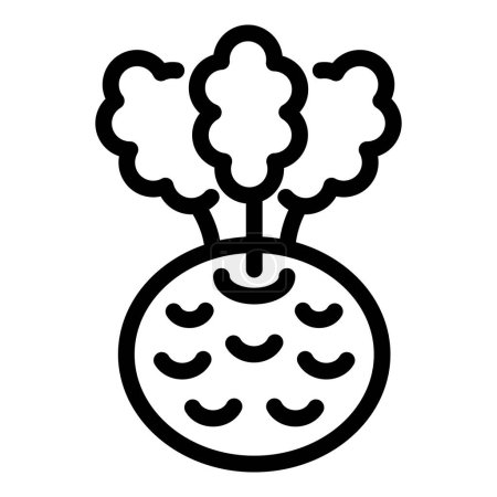 Turnip bulbe icône contour vecteur. Légumes de chou-rave. Exploitation agricole choux croquants