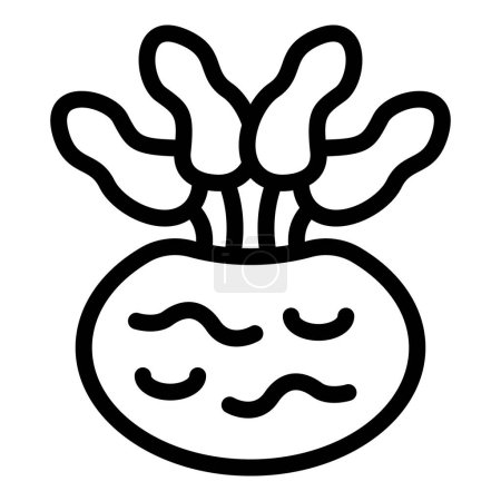 Crunchy kohlrabi icône contour vecteur. Navets frais végétaliens. Chou végétarien allemand