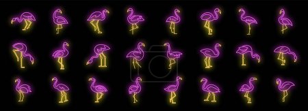 Ilustración de Los iconos de Flamingo establecen el vector de contorno. Pájaro tropical. Color de neón exótico animal en negro - Imagen libre de derechos