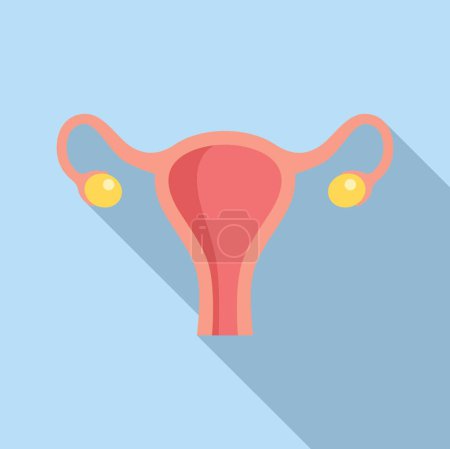 Ilustración de la anatomía del sistema reproductor femenino con útero. Los ovarios. Trompas de Falopio. Y otras partes anatómicas en un médico. Científico. Diseñado para fines ginecológicos y de salud