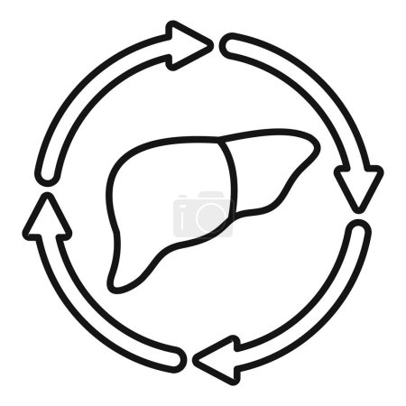Liver regeneration concept icon representing the physiological process of regenerative healing and maintenance of the human organs detoxification and detox function