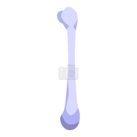 Detailed vector illustration of a human femur bone isolated on a white background, perfect for anatomy, medical, and skeletal system education and healthcare
